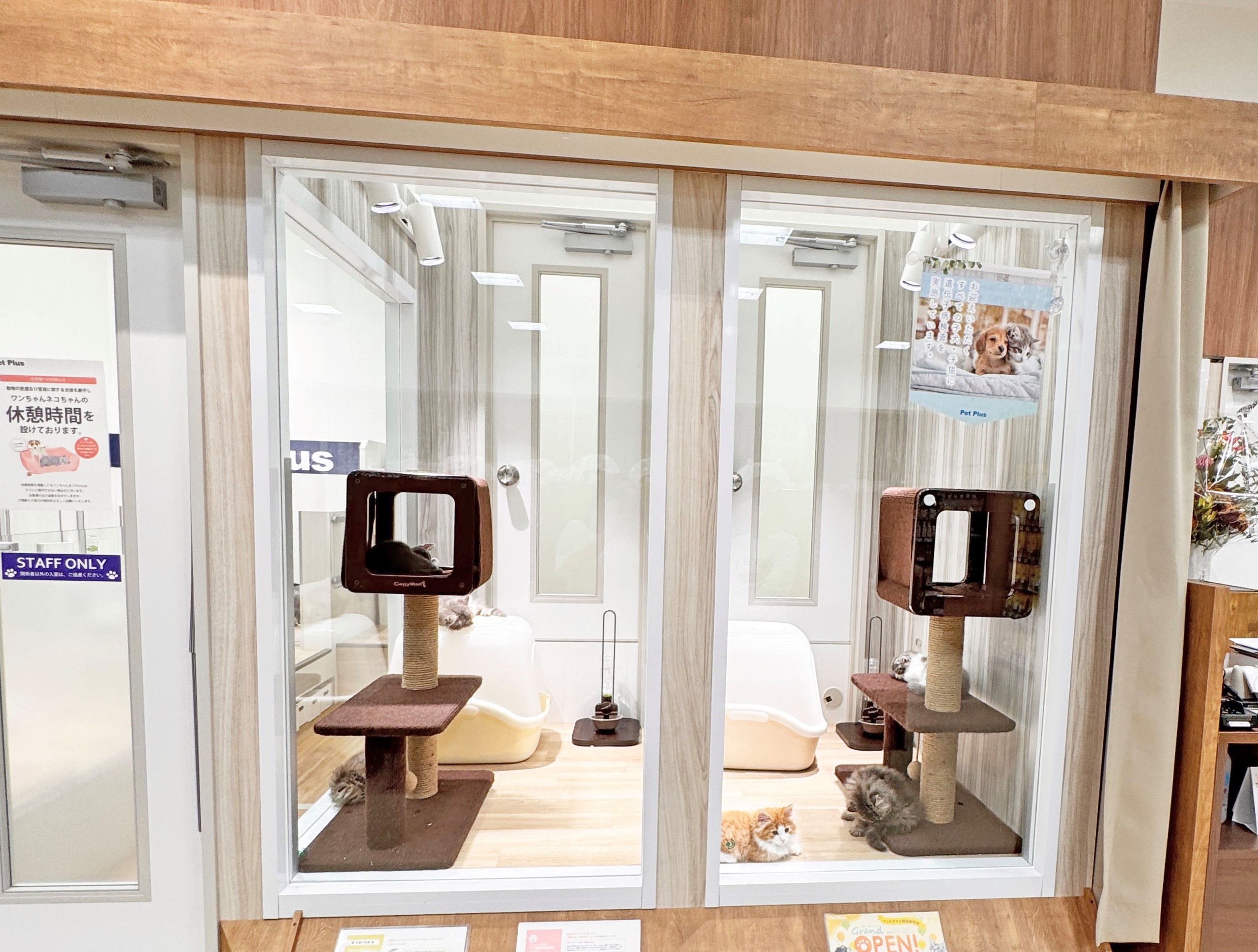 ペットプラス 則武新町店の写真