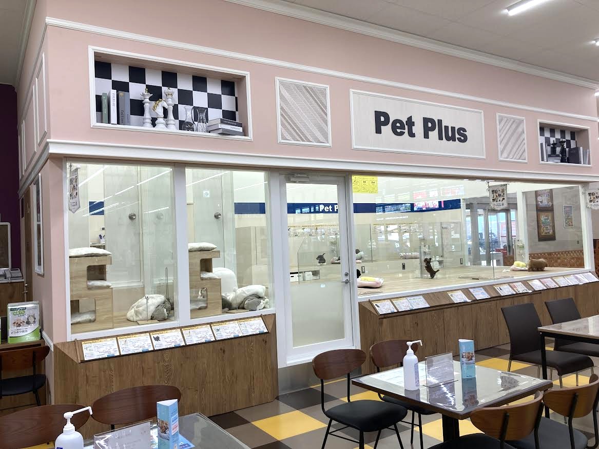 ペットプラス 光ケ丘店の写真