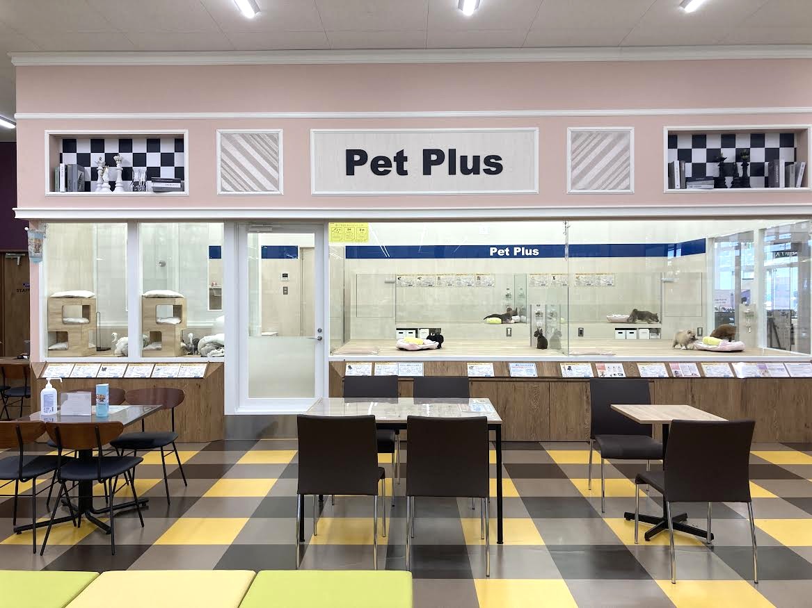 ペットプラス 光ケ丘店の写真