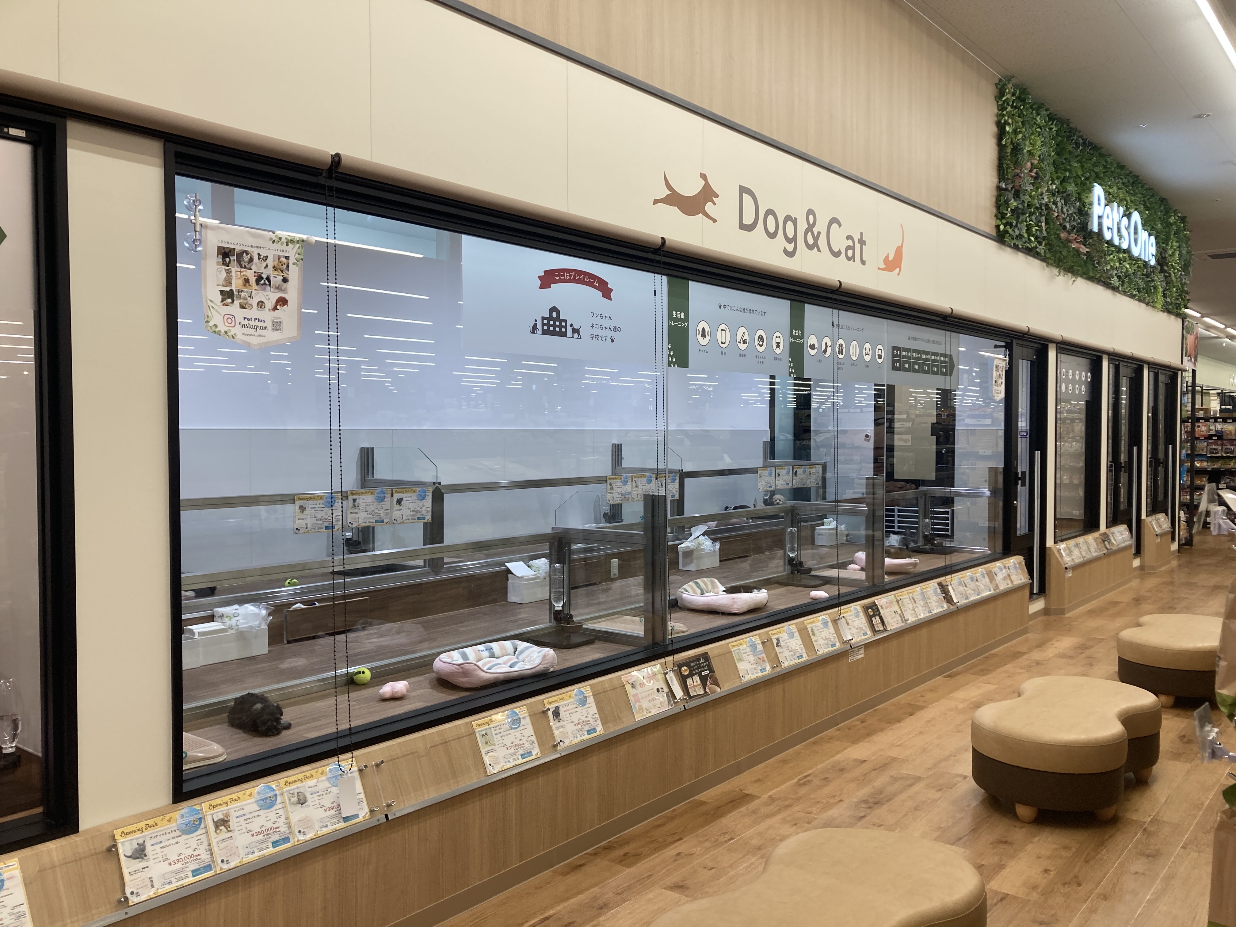 ペッツワン 日吉津店の写真