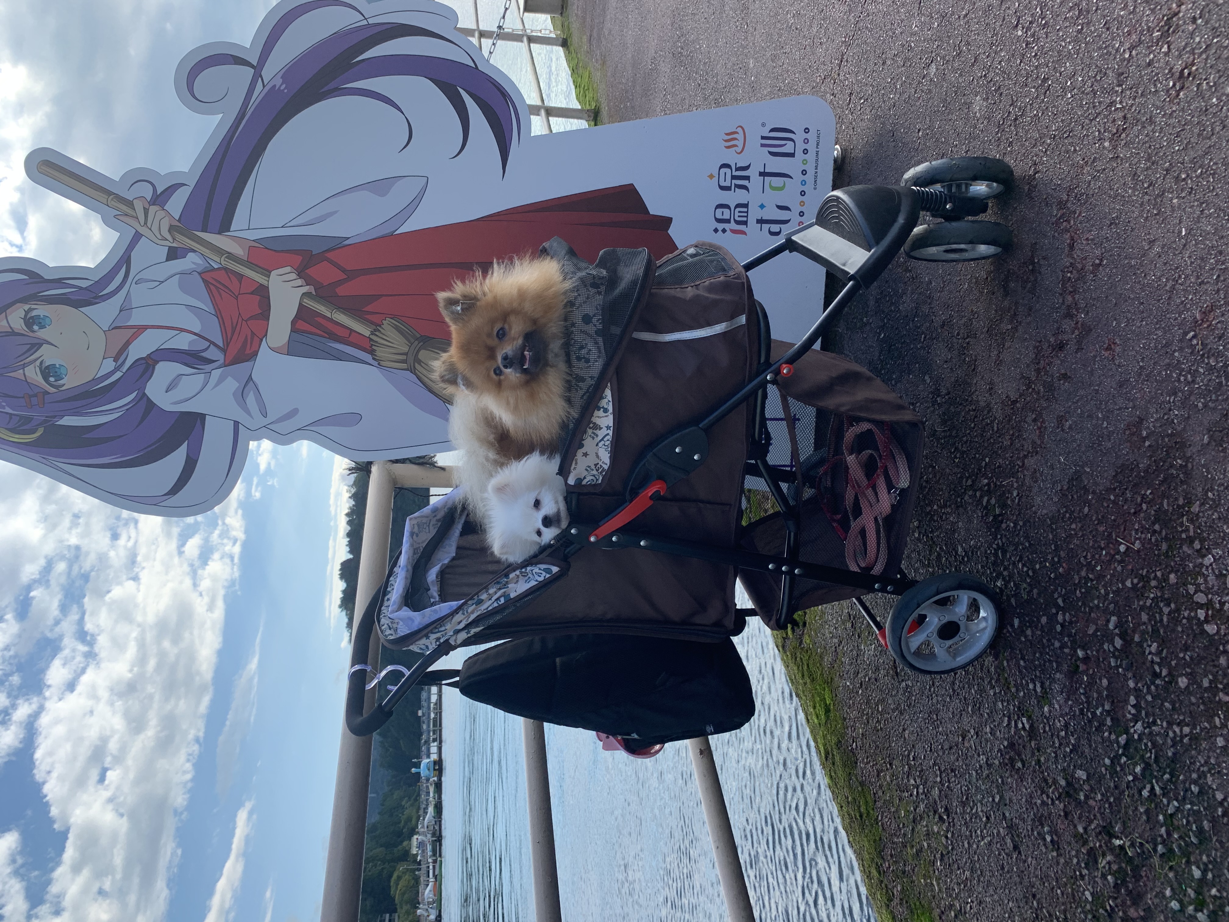 シンバ&ソフィア