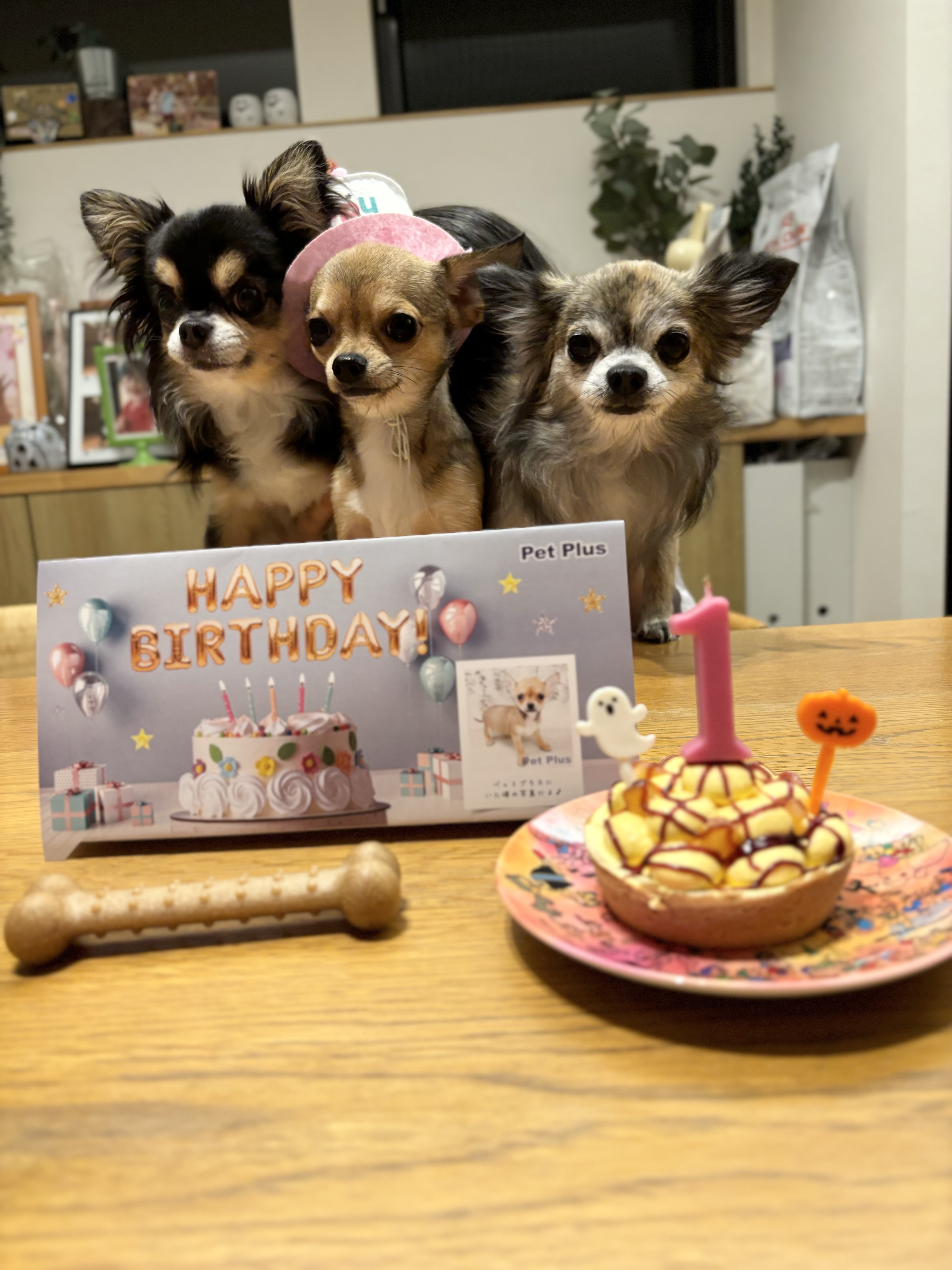 トミ&クゥ&リリ