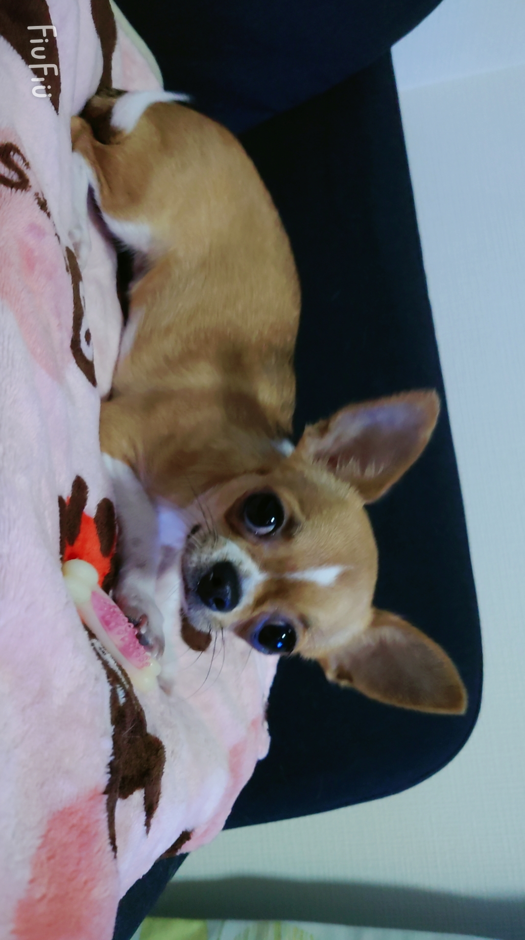 くぅー&もろくん