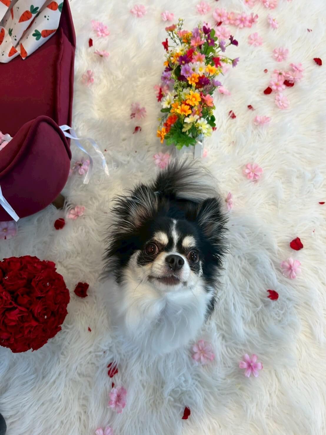 陽（はる）&逞（ゆた）