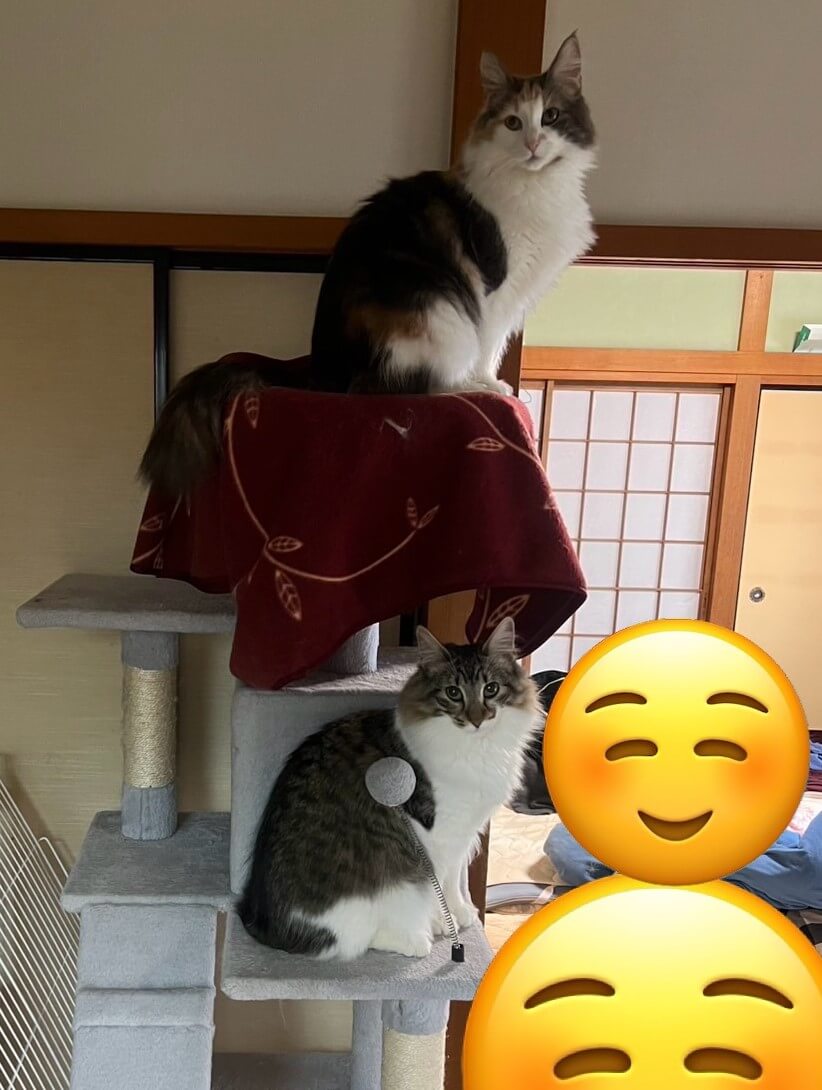 あんじゅ&しえる