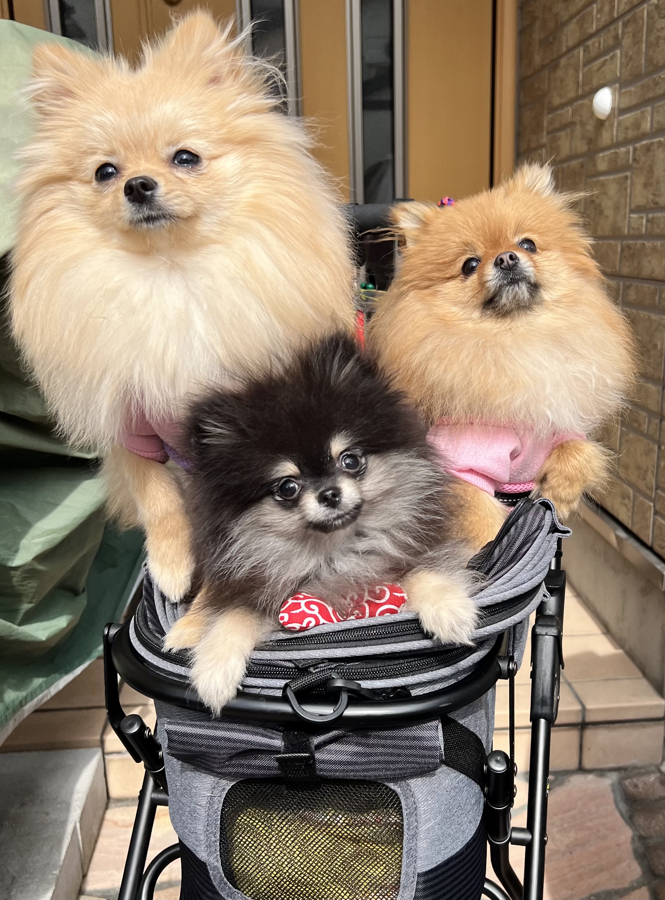 らぶ&にこ&ラッキー