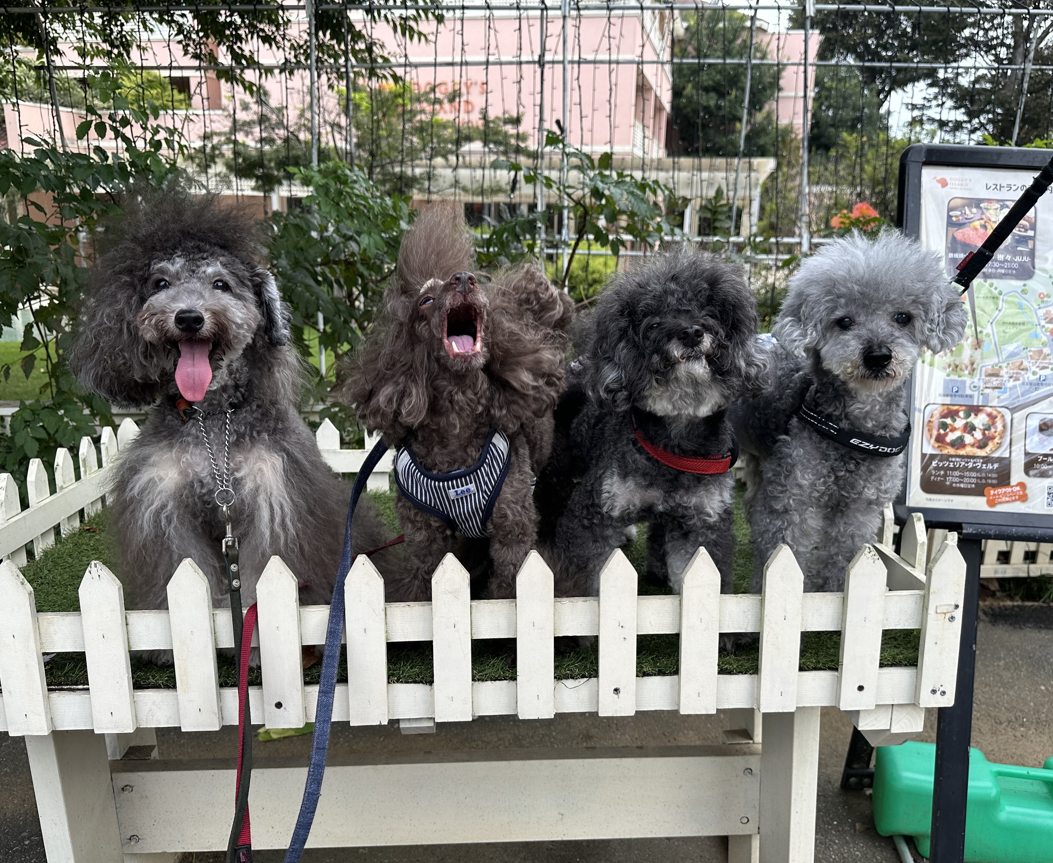 悟天&トランクス