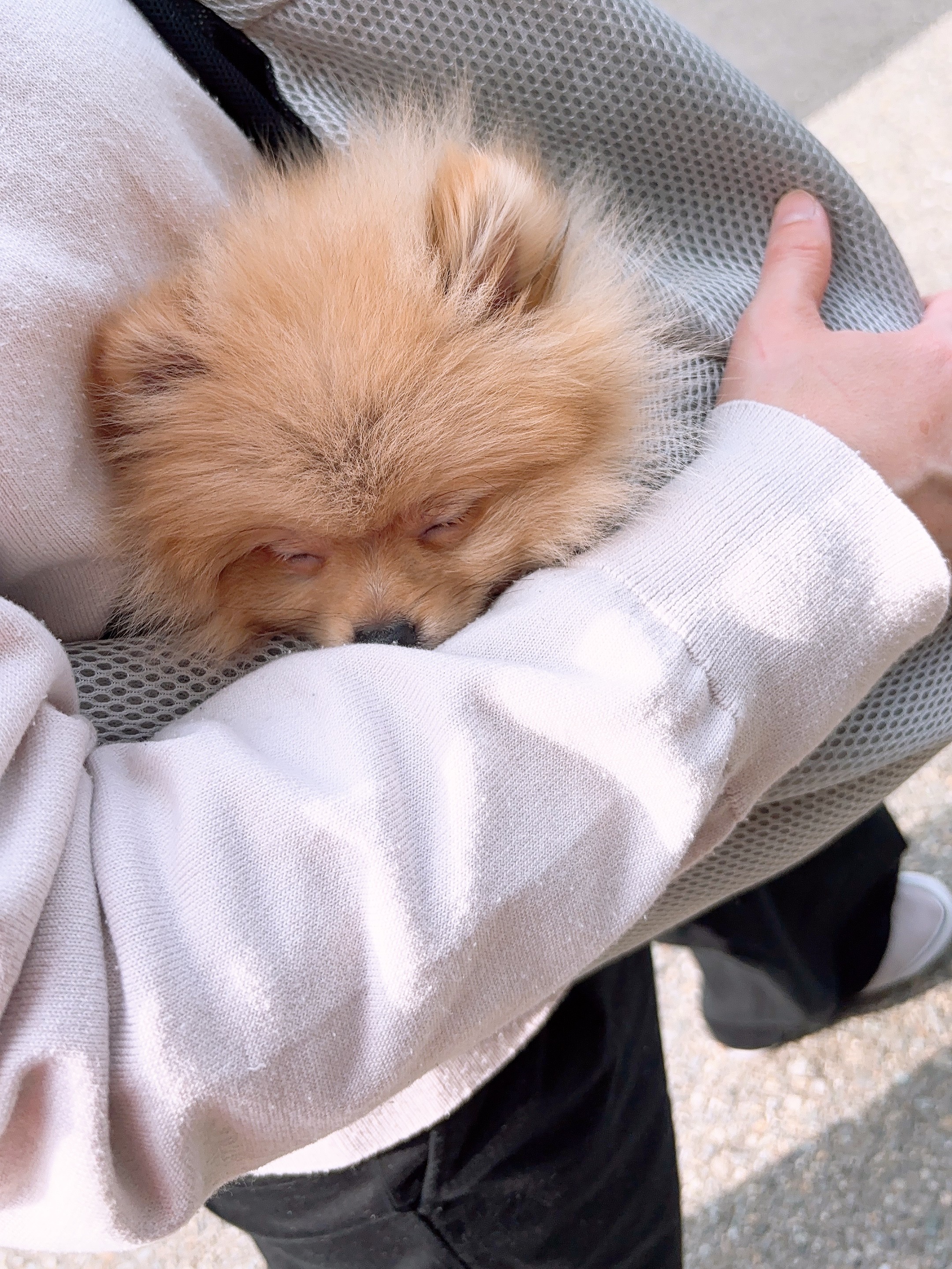 うに