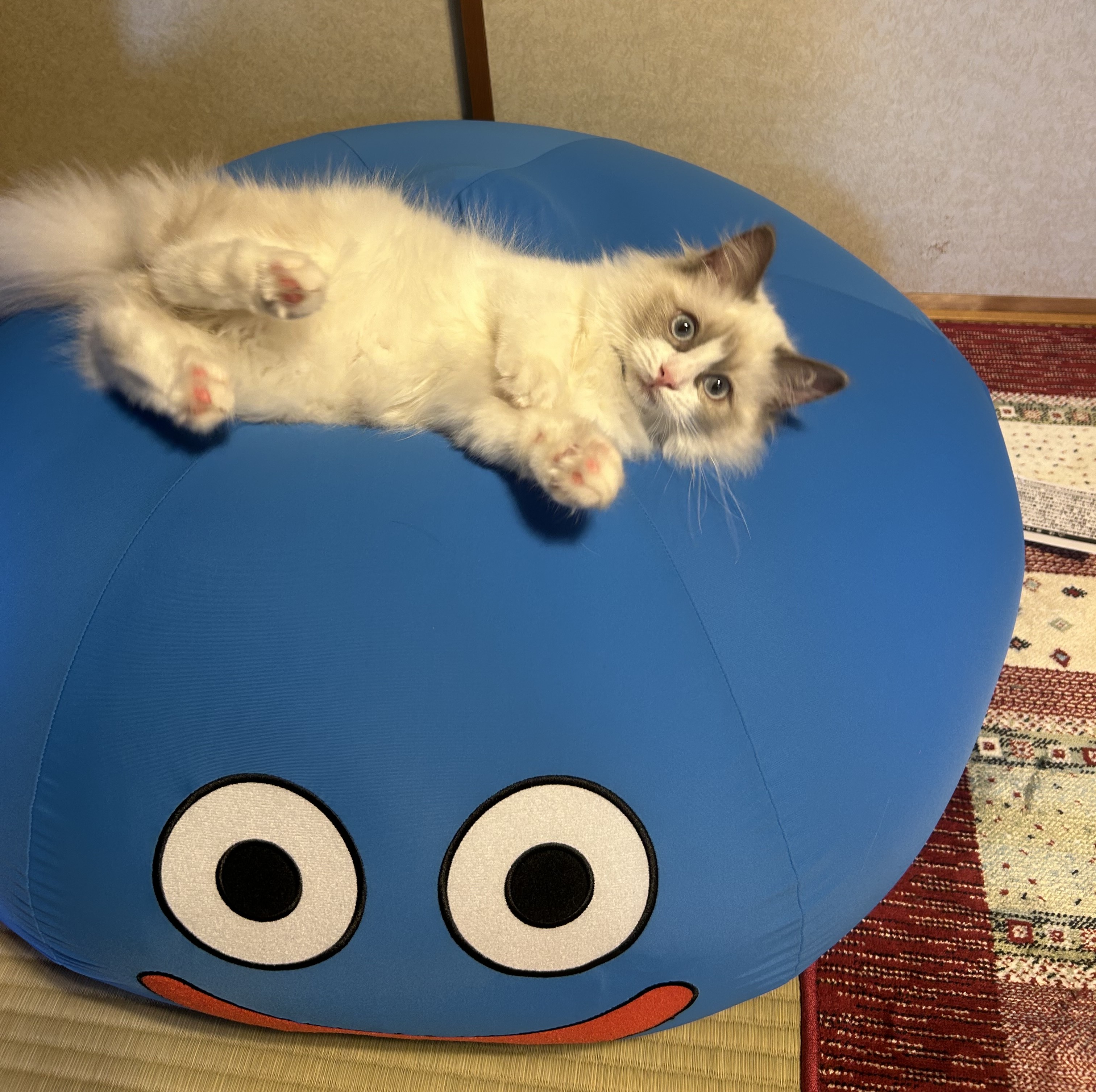 カイ