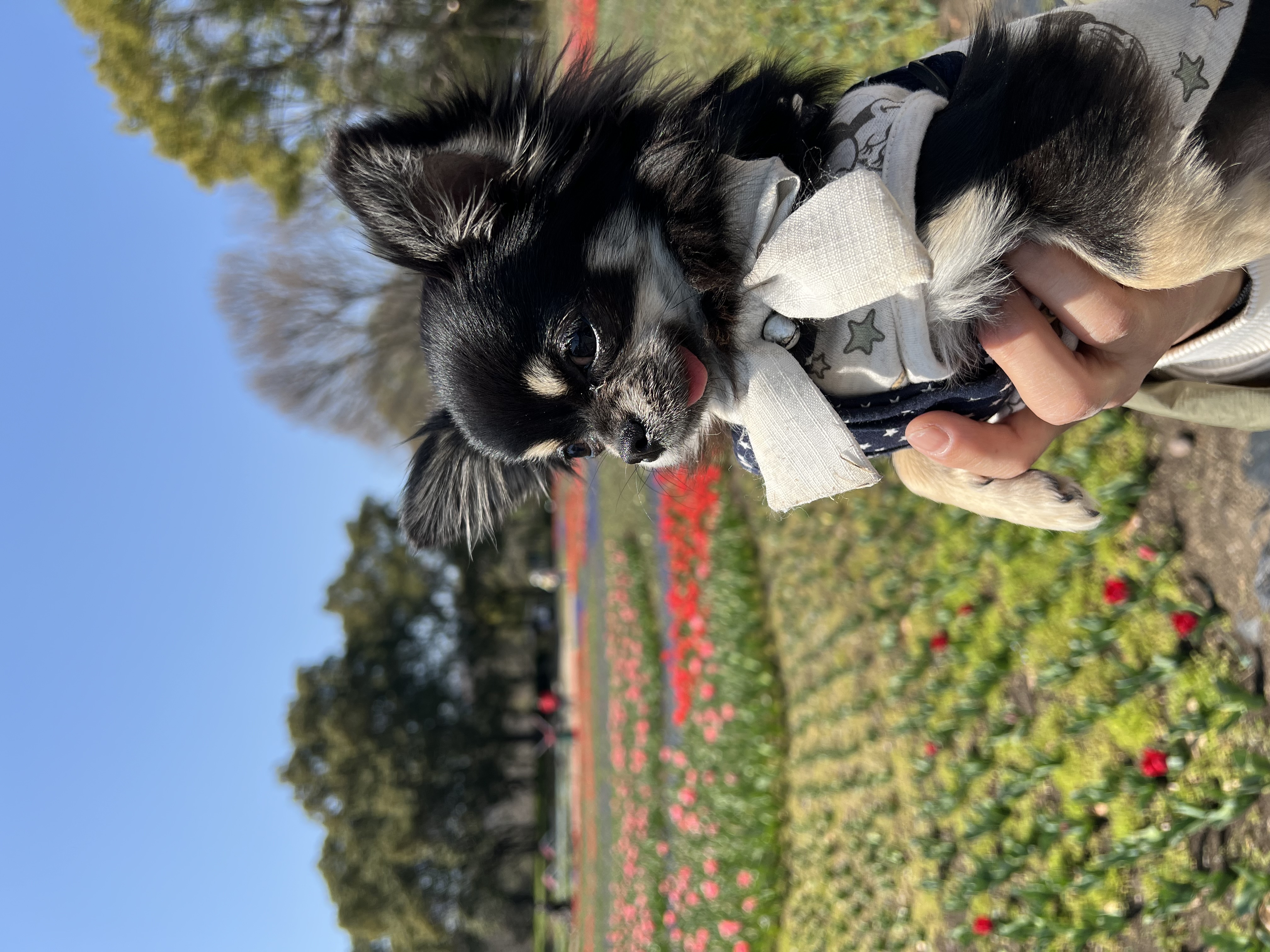 のん