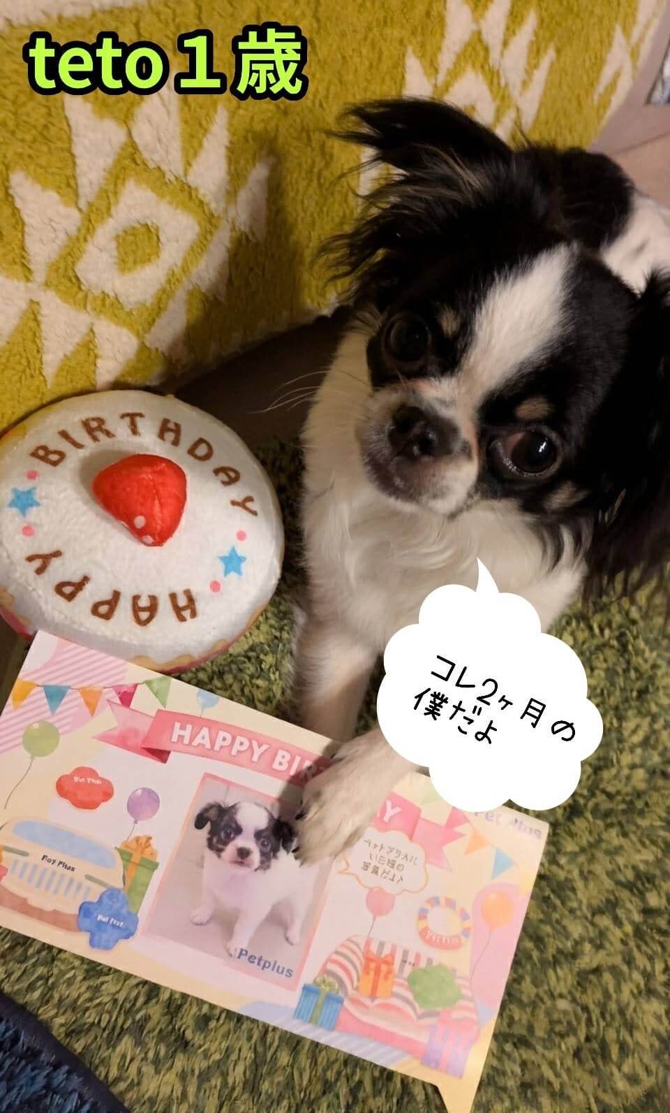 テト