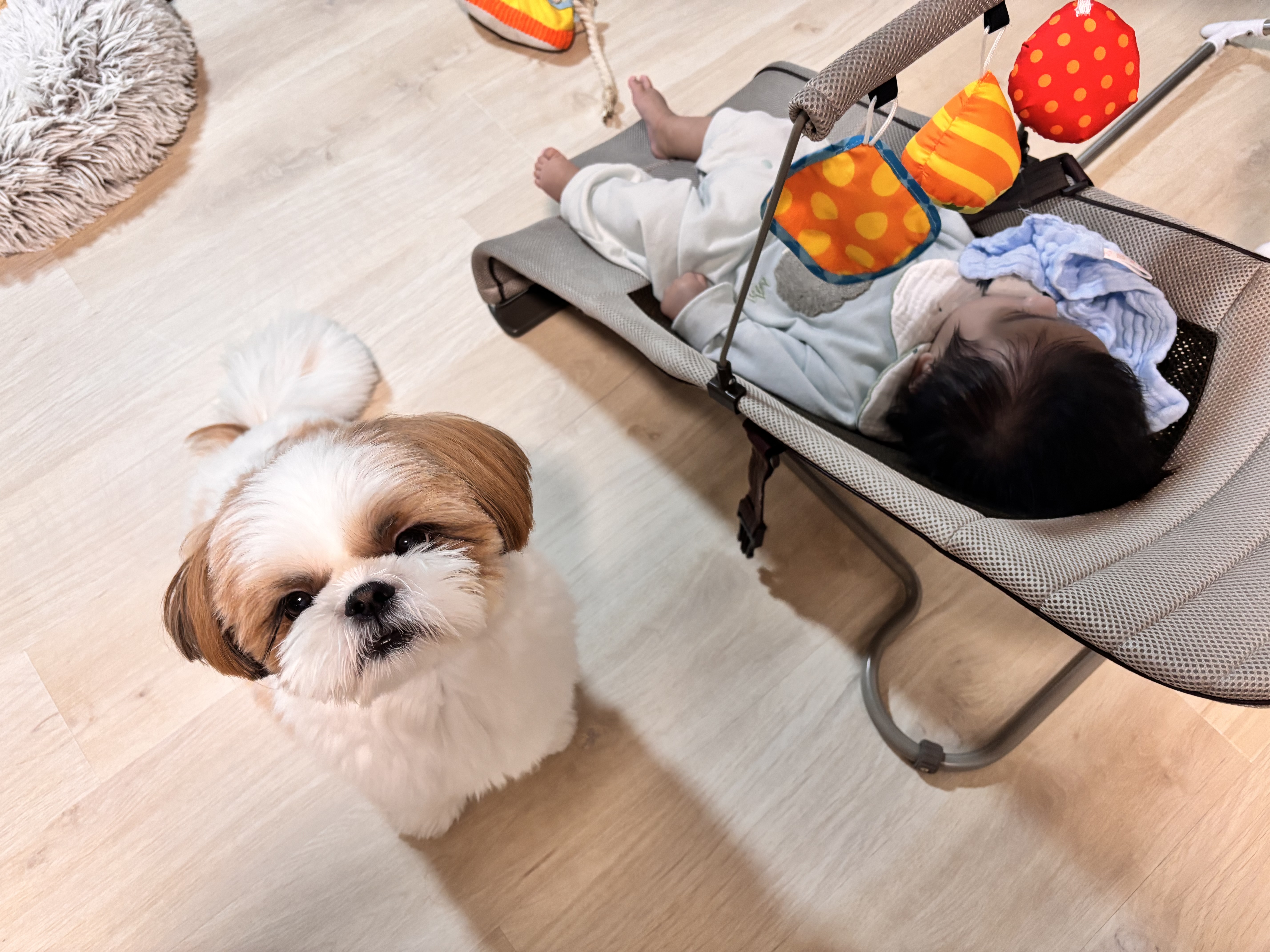 おこげ