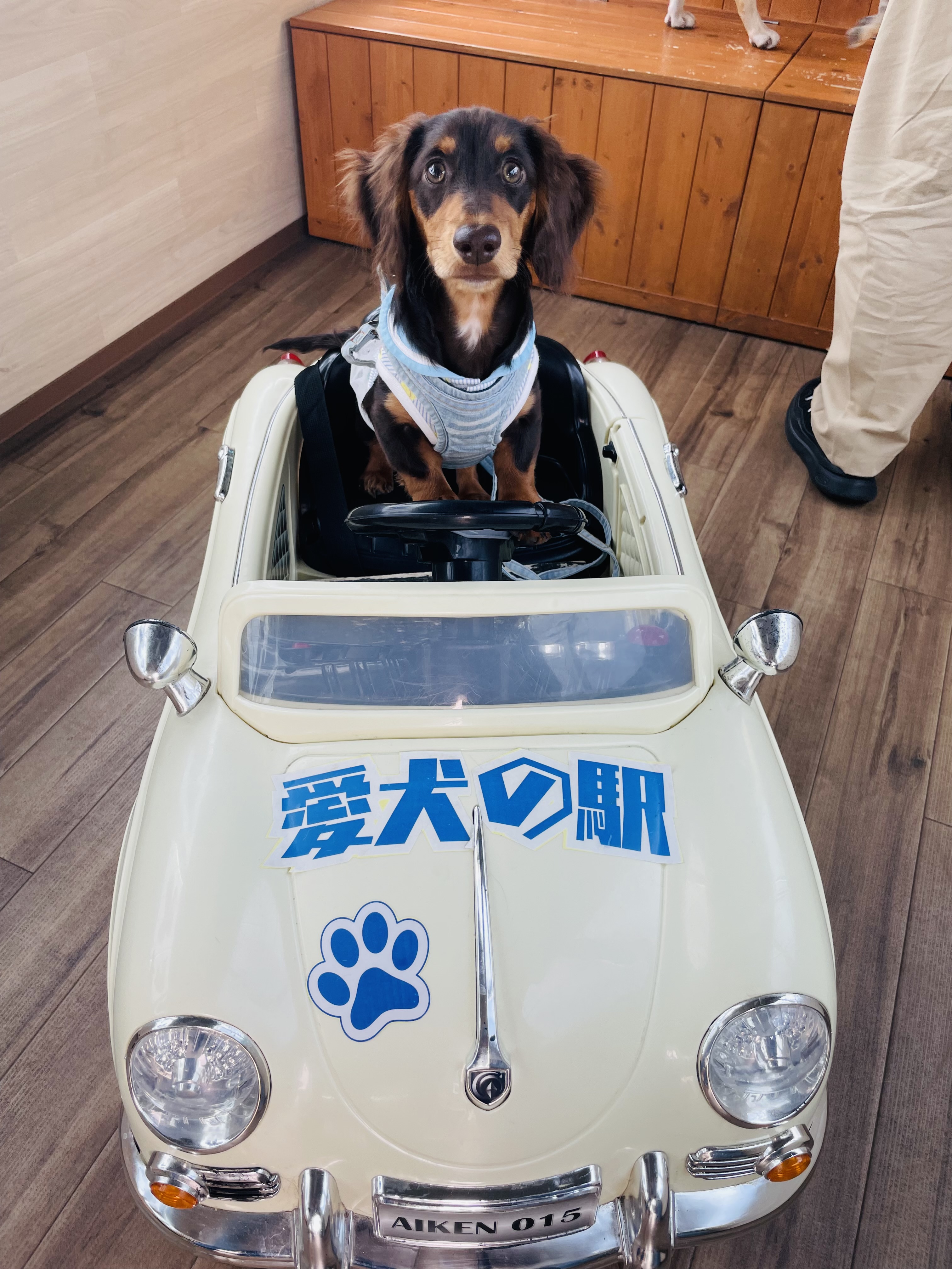 ちくわ