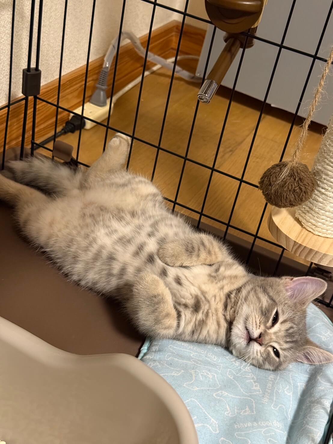 のあ