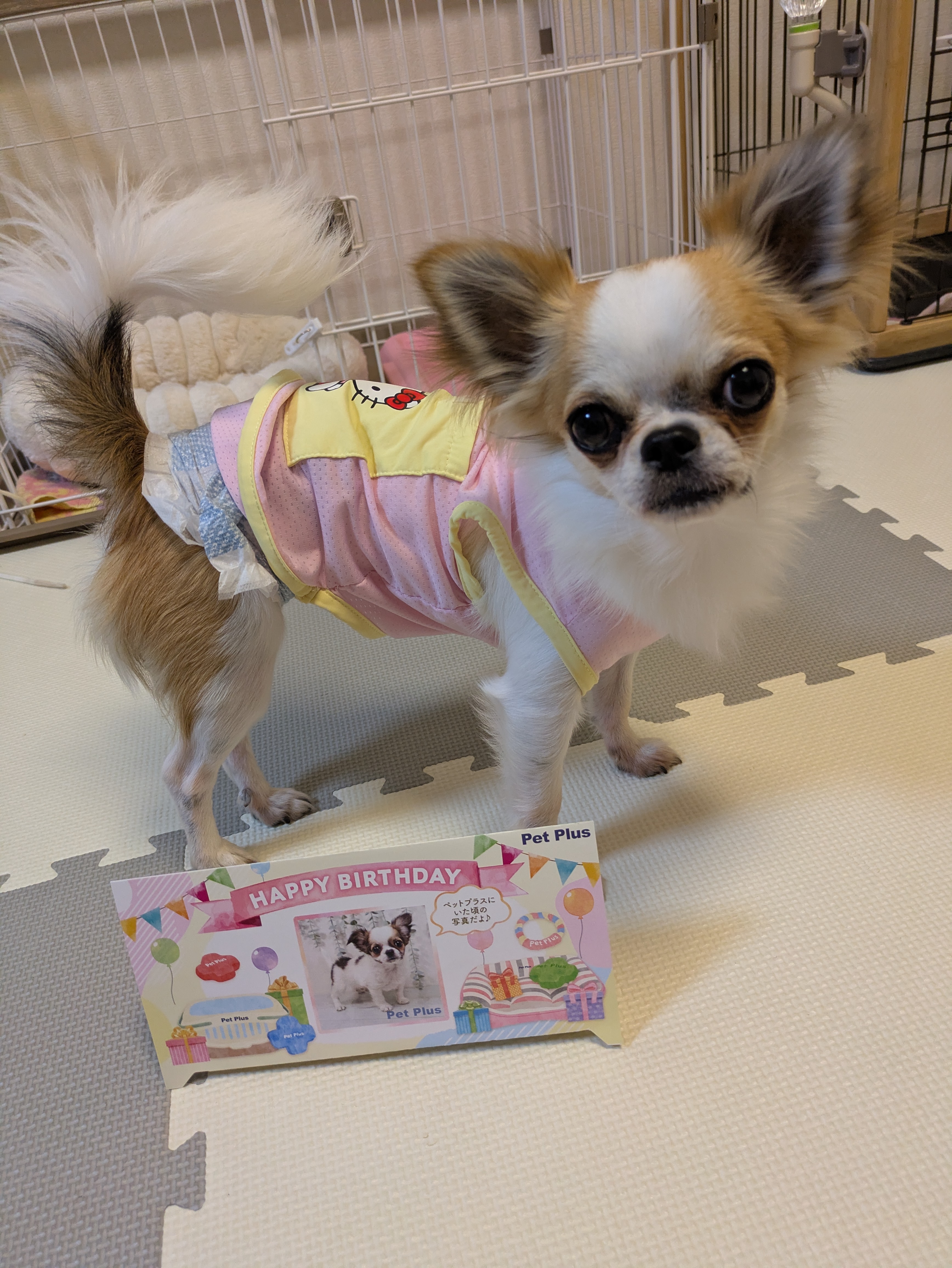 むぎ