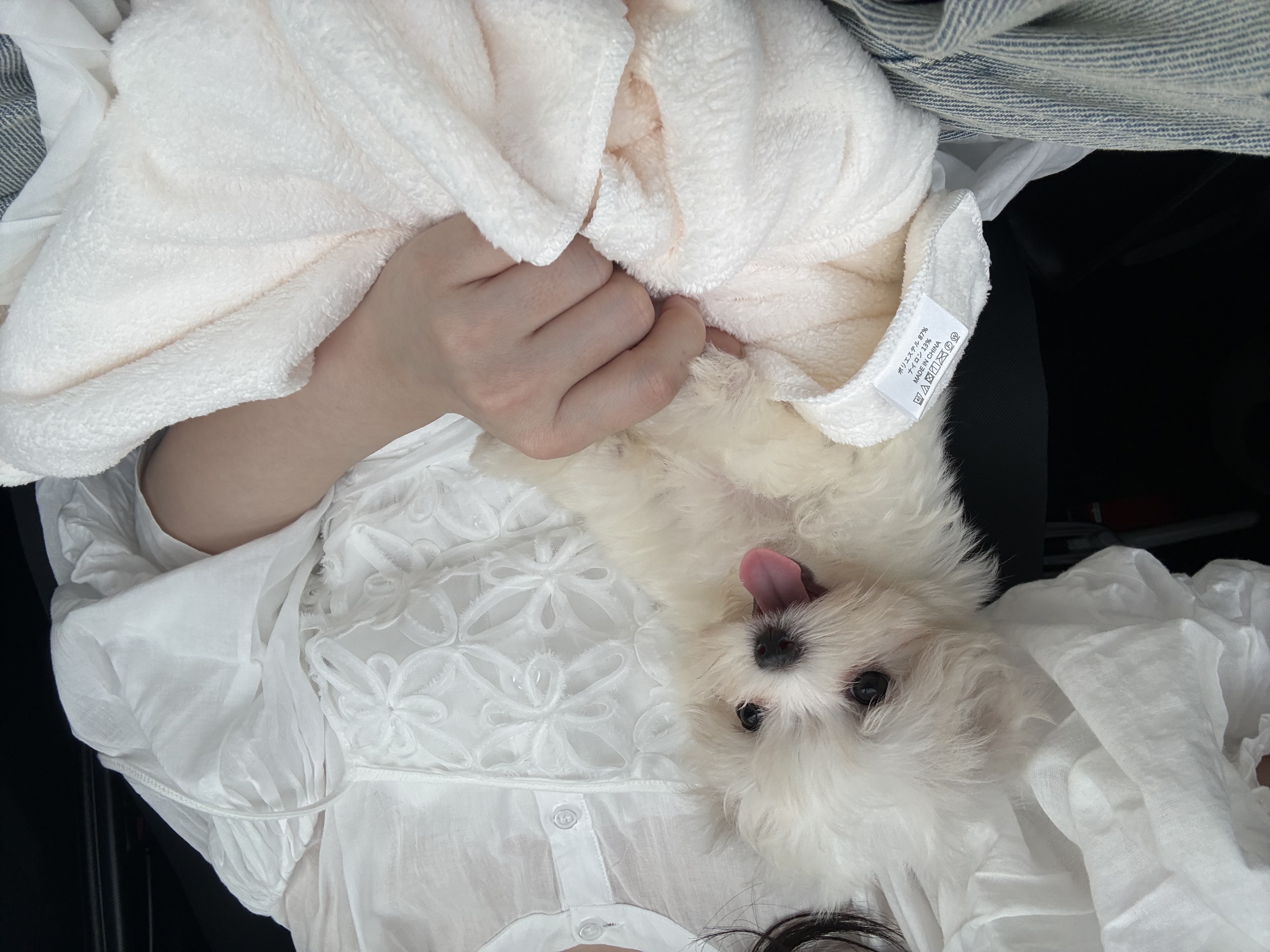 ビビ