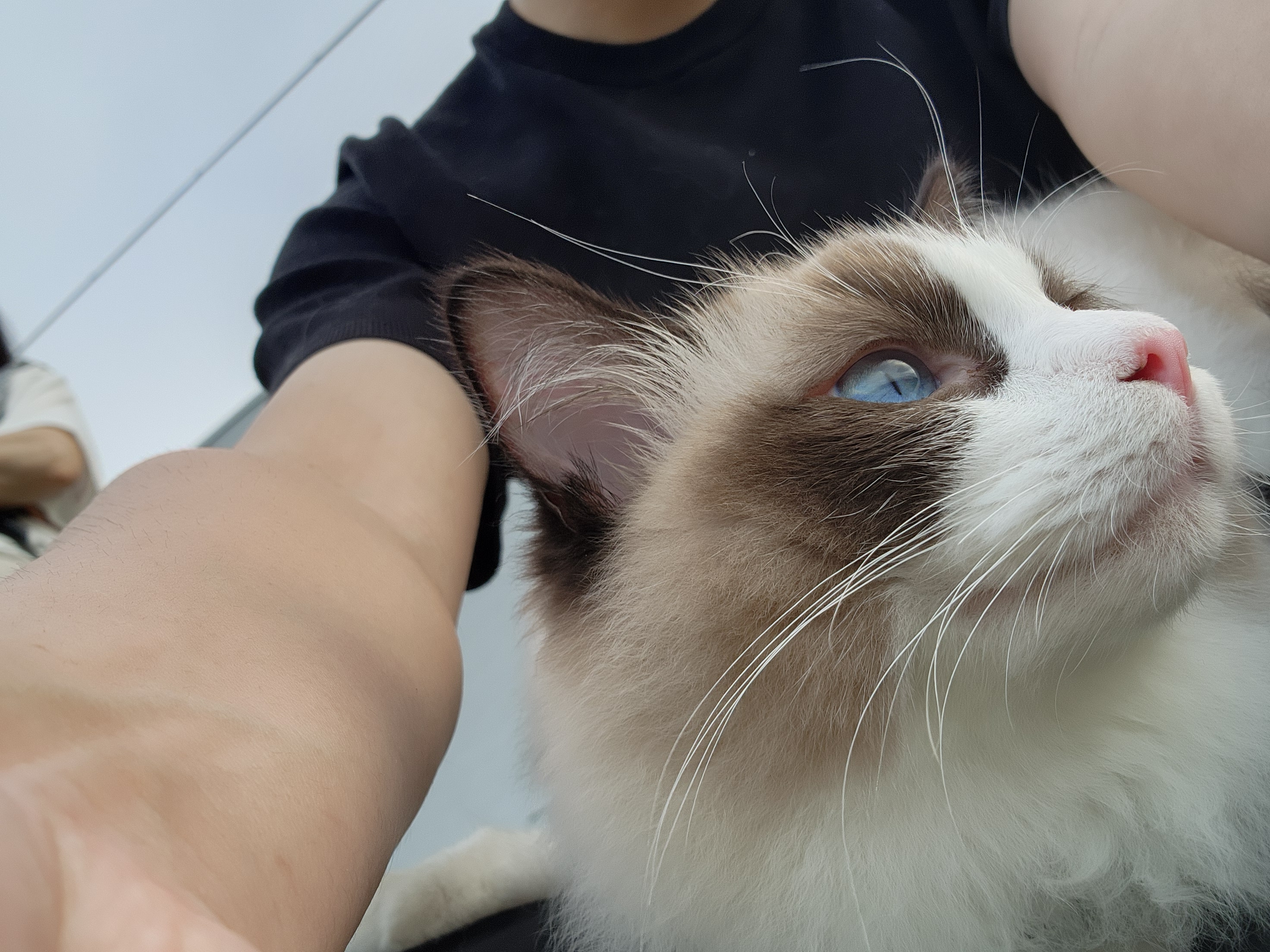 そら